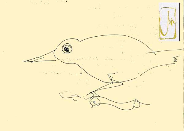 картинка, эскиз птичка, picture, sketch of a bird, sketch of a bird